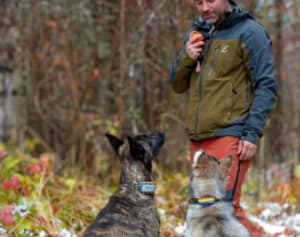 @austrianmusher z lokalizatorem Tractive GPS dla psów