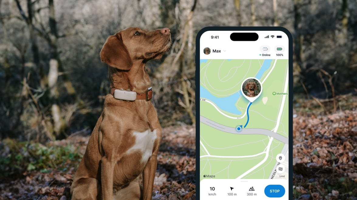 Funkcja LIVE Tracking nowego lokalizatora Tractive GPS DOG 4
