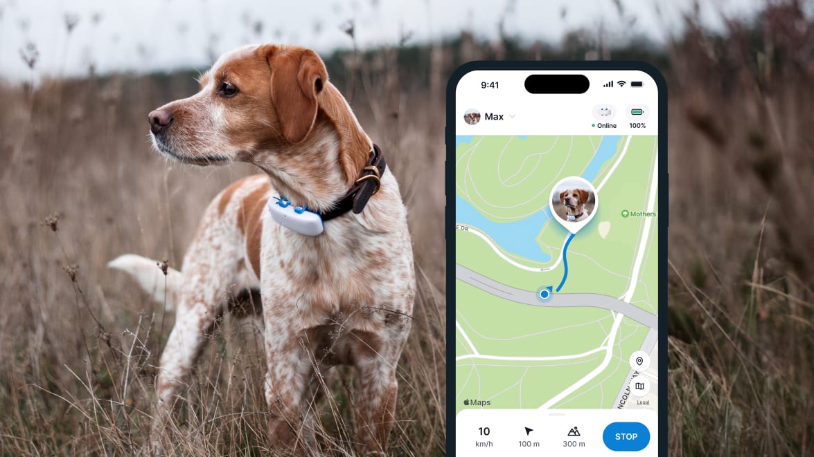 Funkcja LIVE Tracking nowego lokalizatora Tractive GPS DOG 4