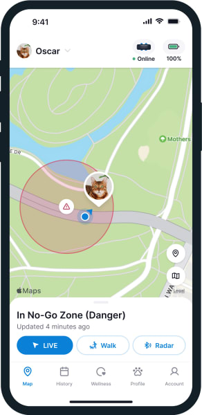 Ekran telefonu z funkcją śledzenia GPS