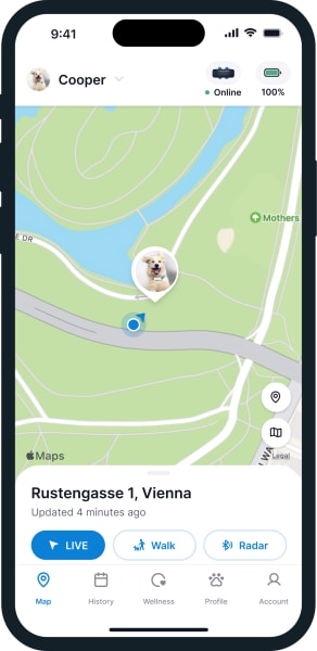 Ekran telefonu z funkcją śledzenia GPS