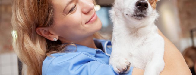 female vet holding white and brown dog
