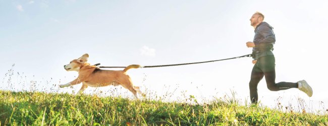 Man och hund i koppel som springer utomhus