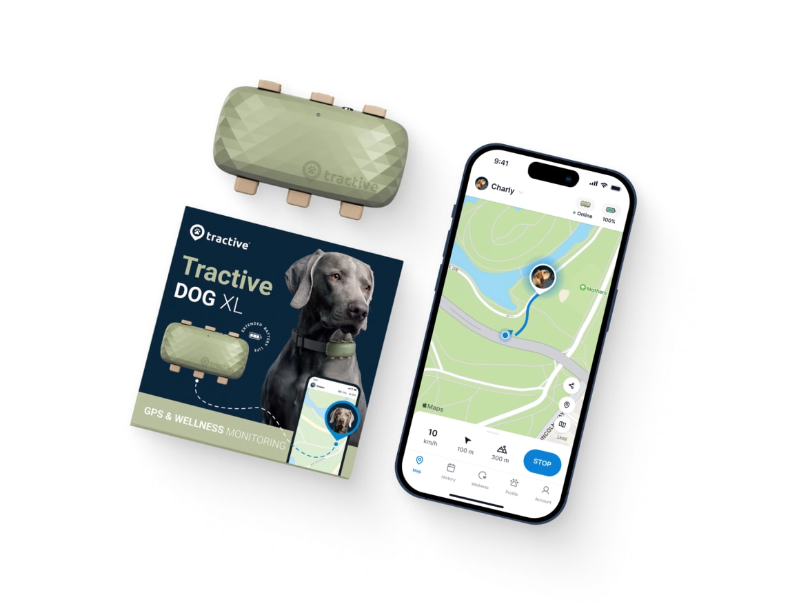 Emballage du traceur Tractive GPS Dog 4