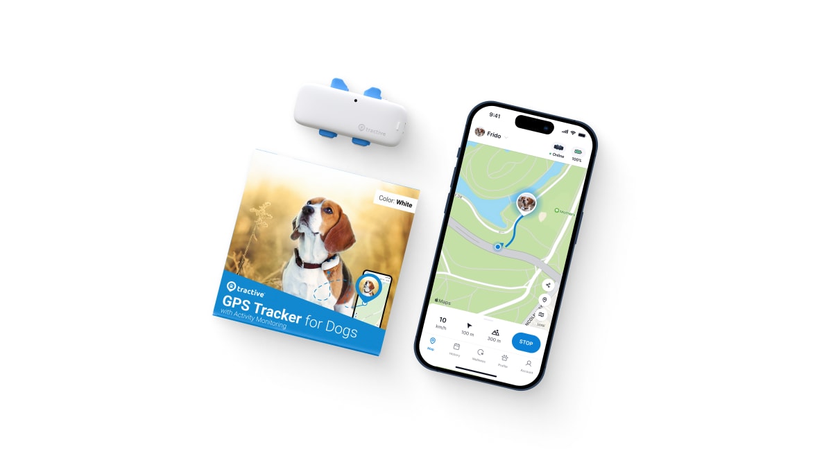 Opakowanie lokalizatora Tractive GPS DOG 4