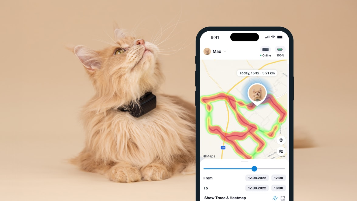 Funkcja monitorowania aktywności za pomocą nowego lokalizatora Tractive GPS CAT 4 na smartfonie