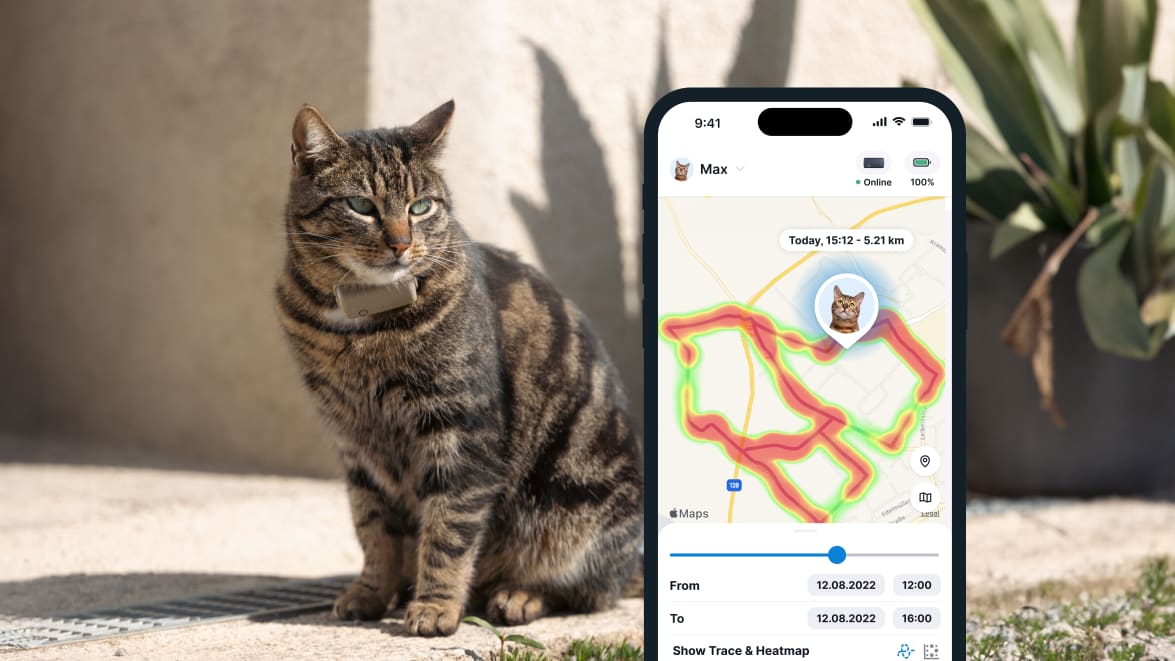 Funkcja monitorowania aktywności za pomocą nowego lokalizatora Tractive GPS CAT 4 na smartfonie