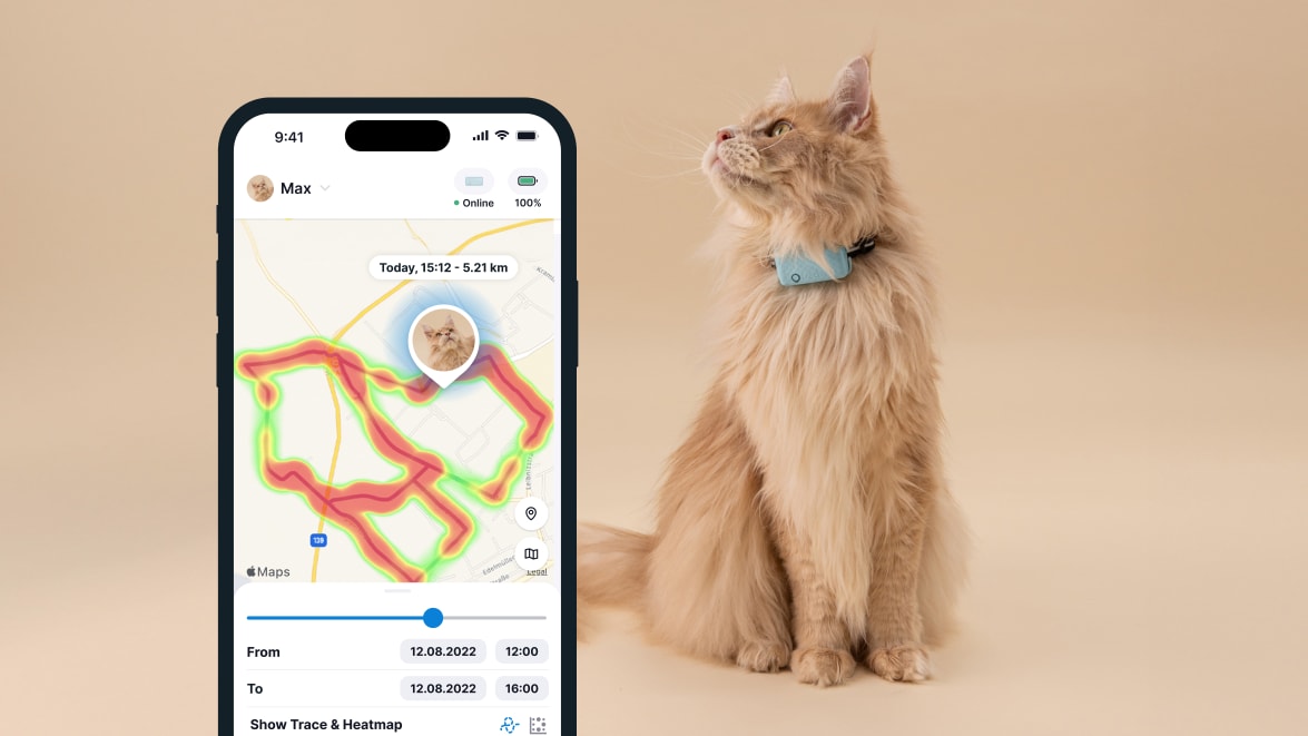 Funkcja monitorowania aktywności za pomocą nowego lokalizatora Tractive GPS CAT 4 na smartfonie