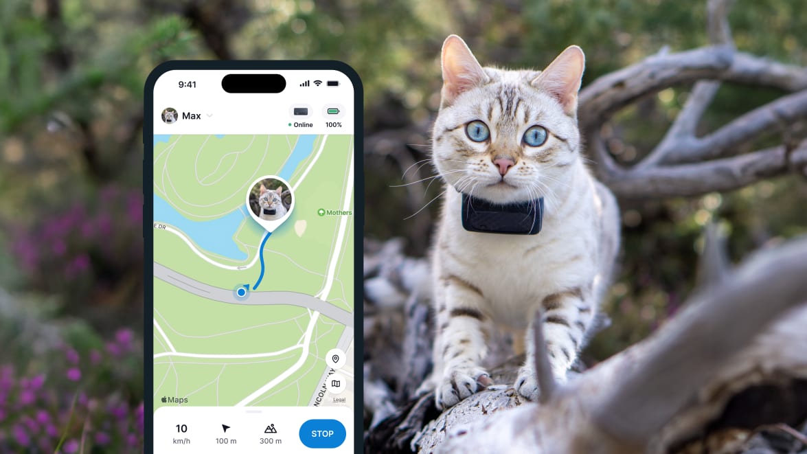 Funkcja LIVE Tracking nowego lokalizatora Tractive GPS CAT 4