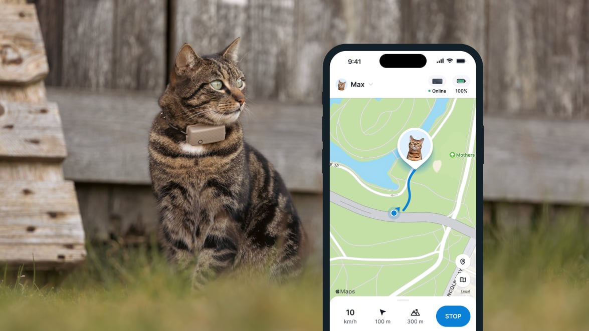 Funkcja LIVE Tracking nowego lokalizatora Tractive GPS CAT 4