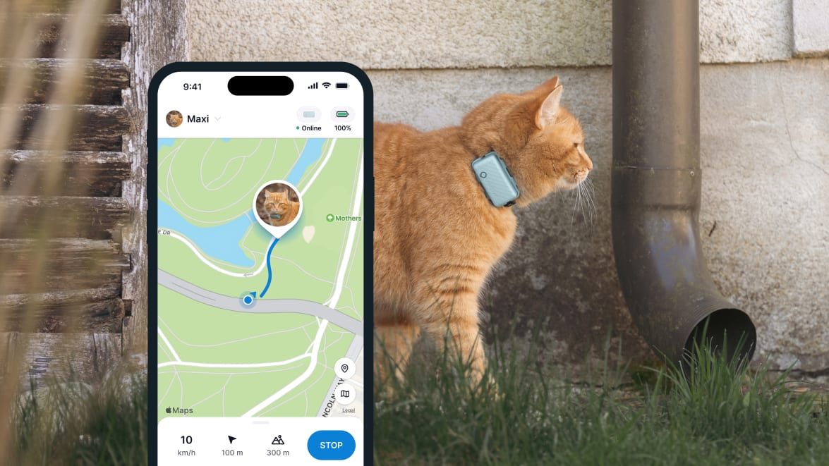 Funkcja LIVE Tracking nowego lokalizatora Tractive GPS CAT 4