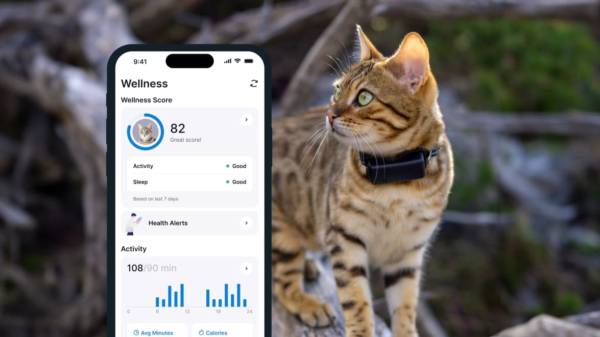 Funkcja monitorowania snu za pomocą nowego lokalizatora Tractive GPS CAT 4 na smartfonie