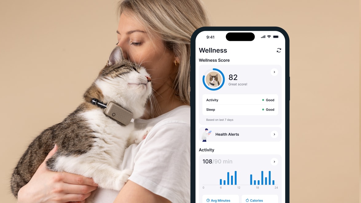 Funkcja monitorowania snu za pomocą nowego lokalizatora Tractive GPS CAT 4 na smartfonie