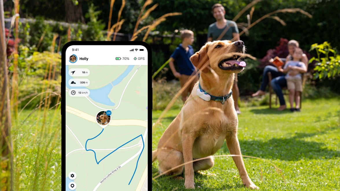 Funkcja LIVE Tracking nowego lokalizatora Tractive GPS DOG 4