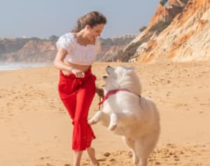 @wanderlustsamoyed z lokalizatorem Tractive GPS XL