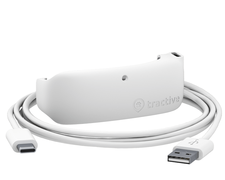 Ładowarka-klips i kabel USB-C