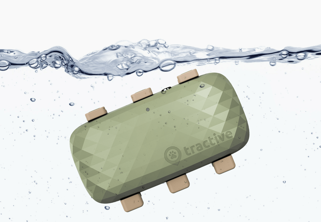 Traceur dans l'eau pour prouver l'étanchéité